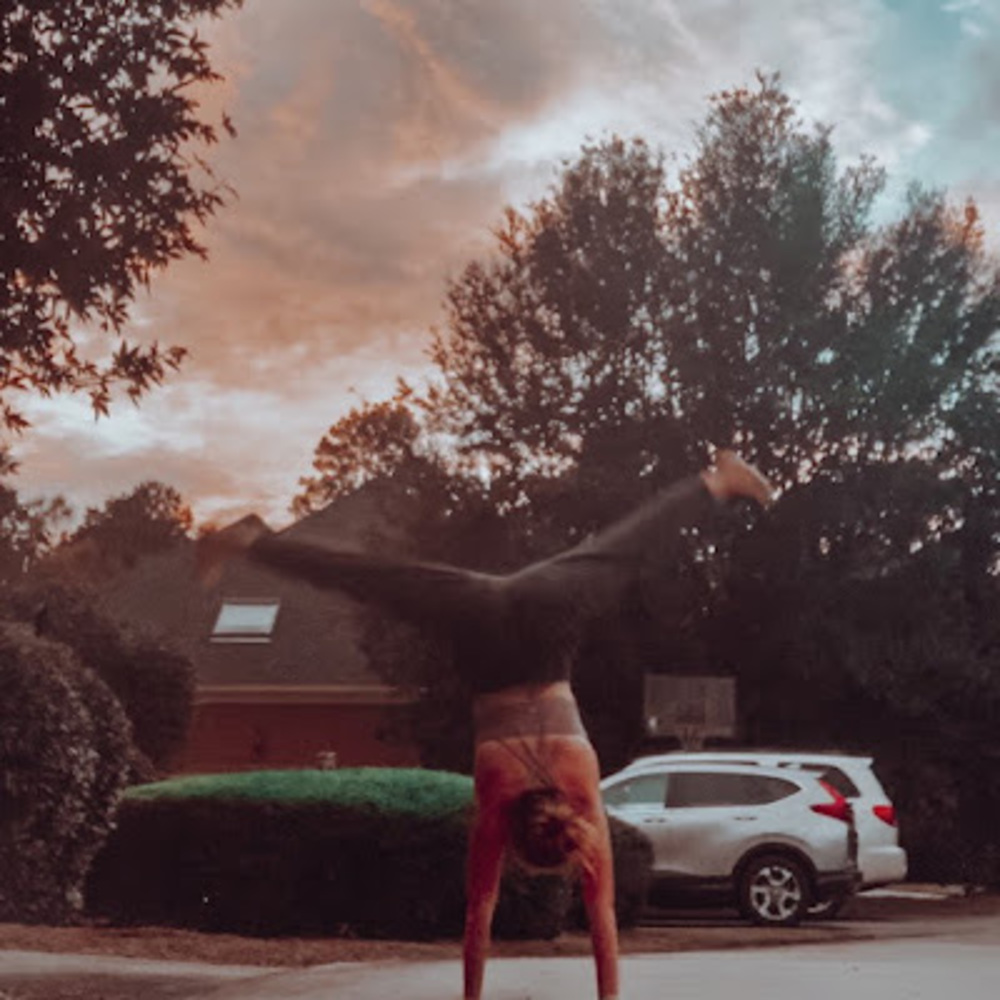 Meet your Posher, Ginger